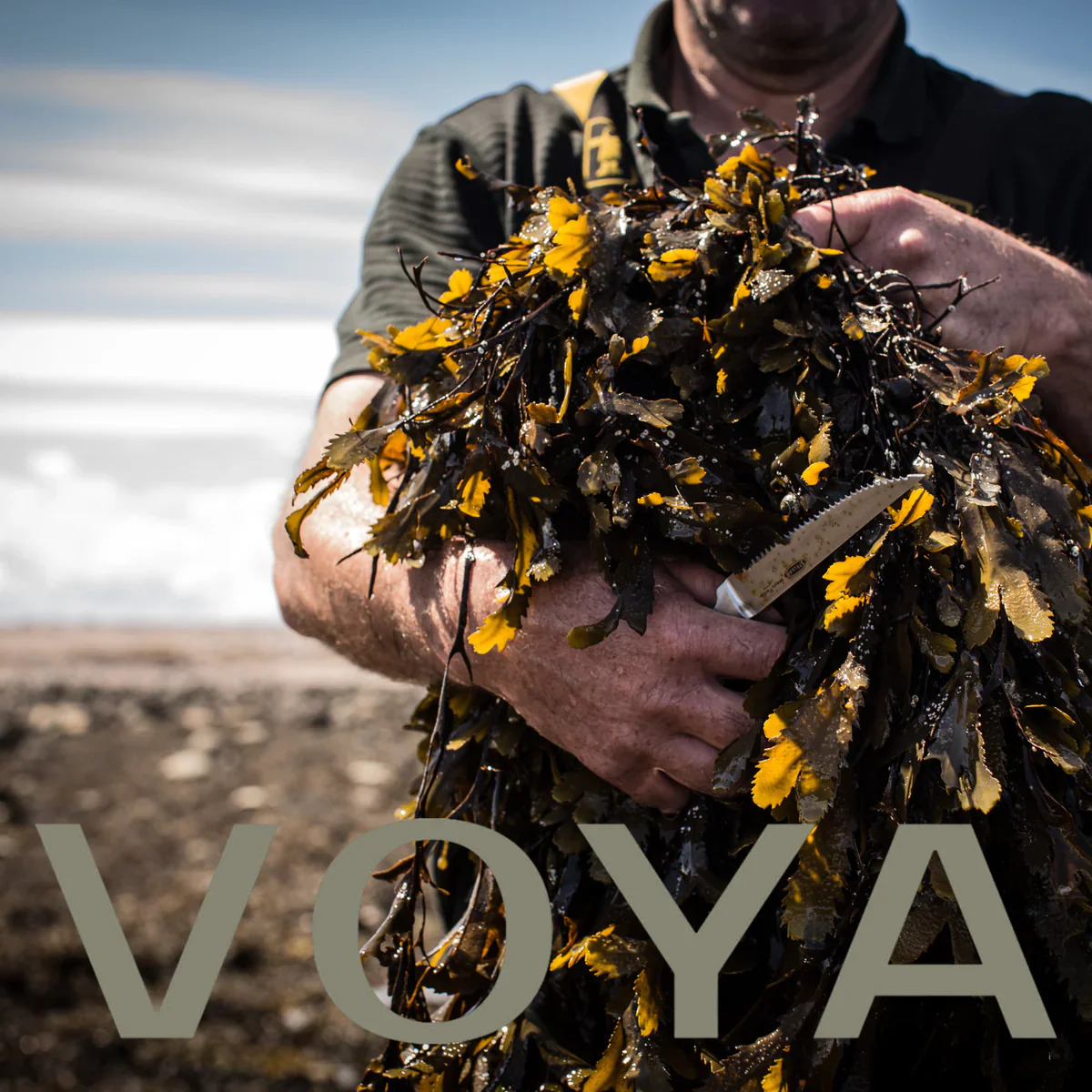 VOYA Lazy Days Detoxifying Seaweed Bath 400g - Image 10