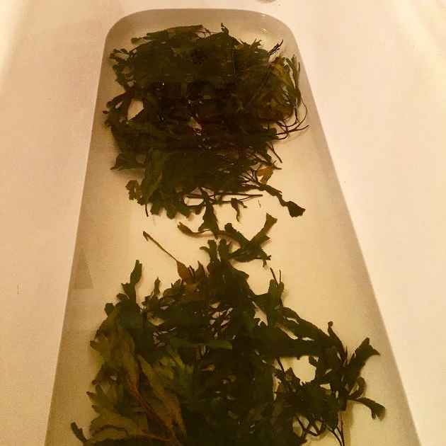 VOYA Lazy Days Detoxifying Seaweed Bath 400g - Image 5