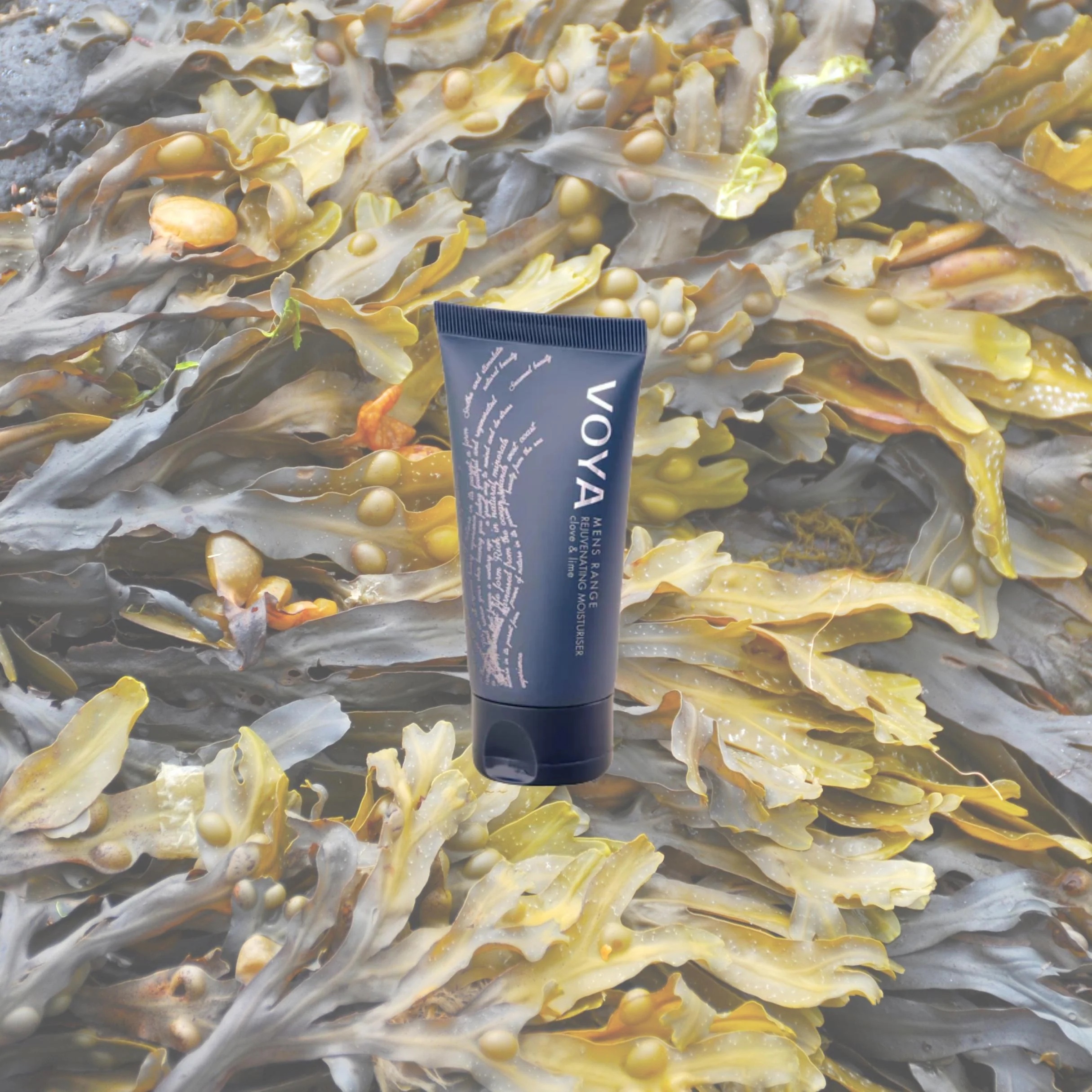 VOYA Men's Range Rejuvenating Moisturiser 50ml - Image 6